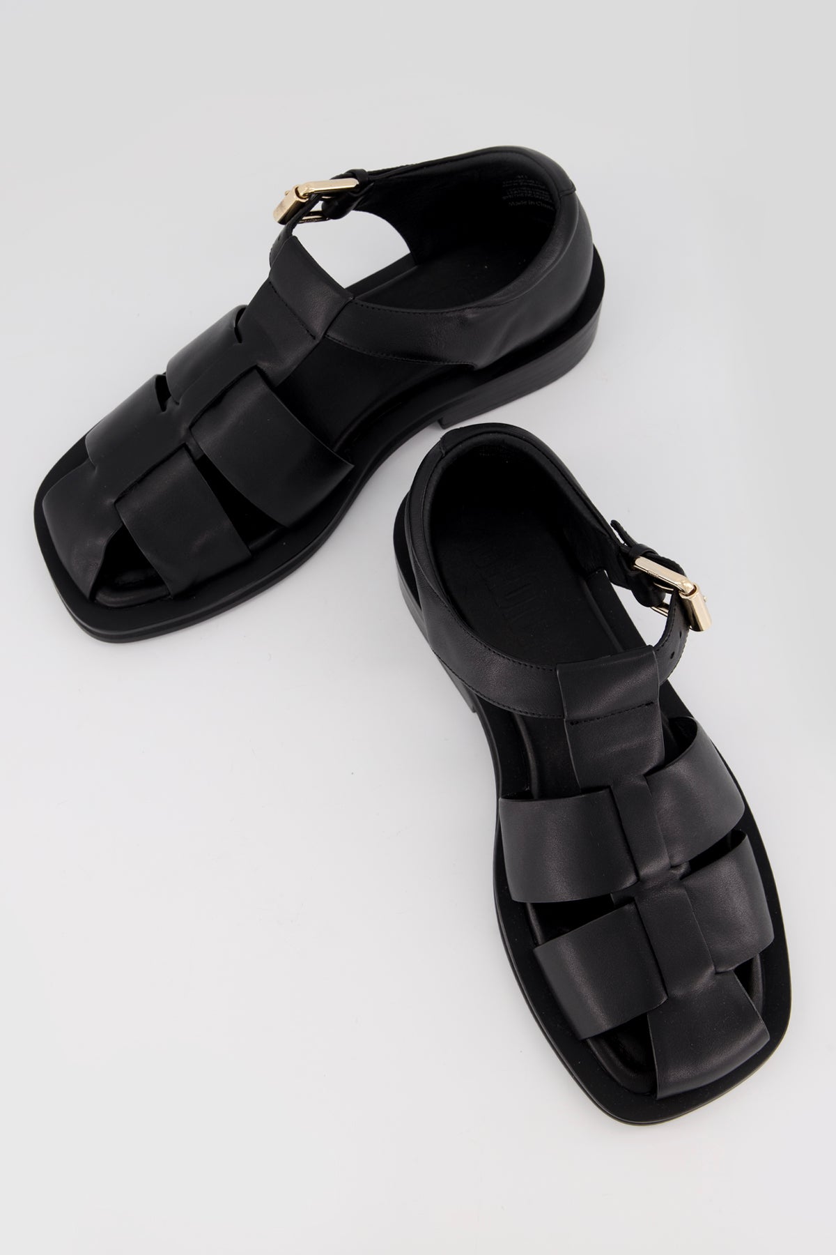 Cam Black