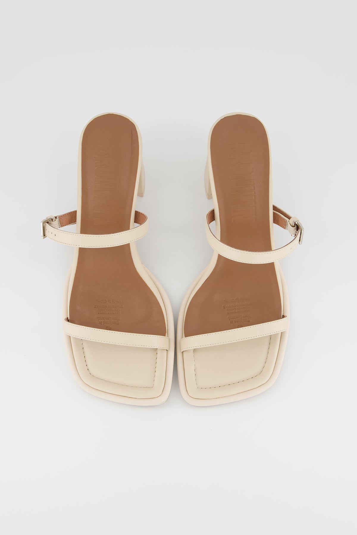 Lucia Shell | PRE-ORDER