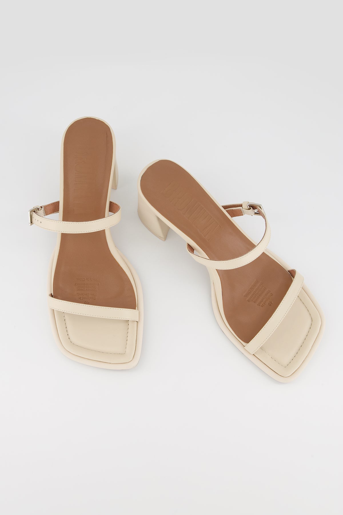 Lucia Shell | PRE-ORDER