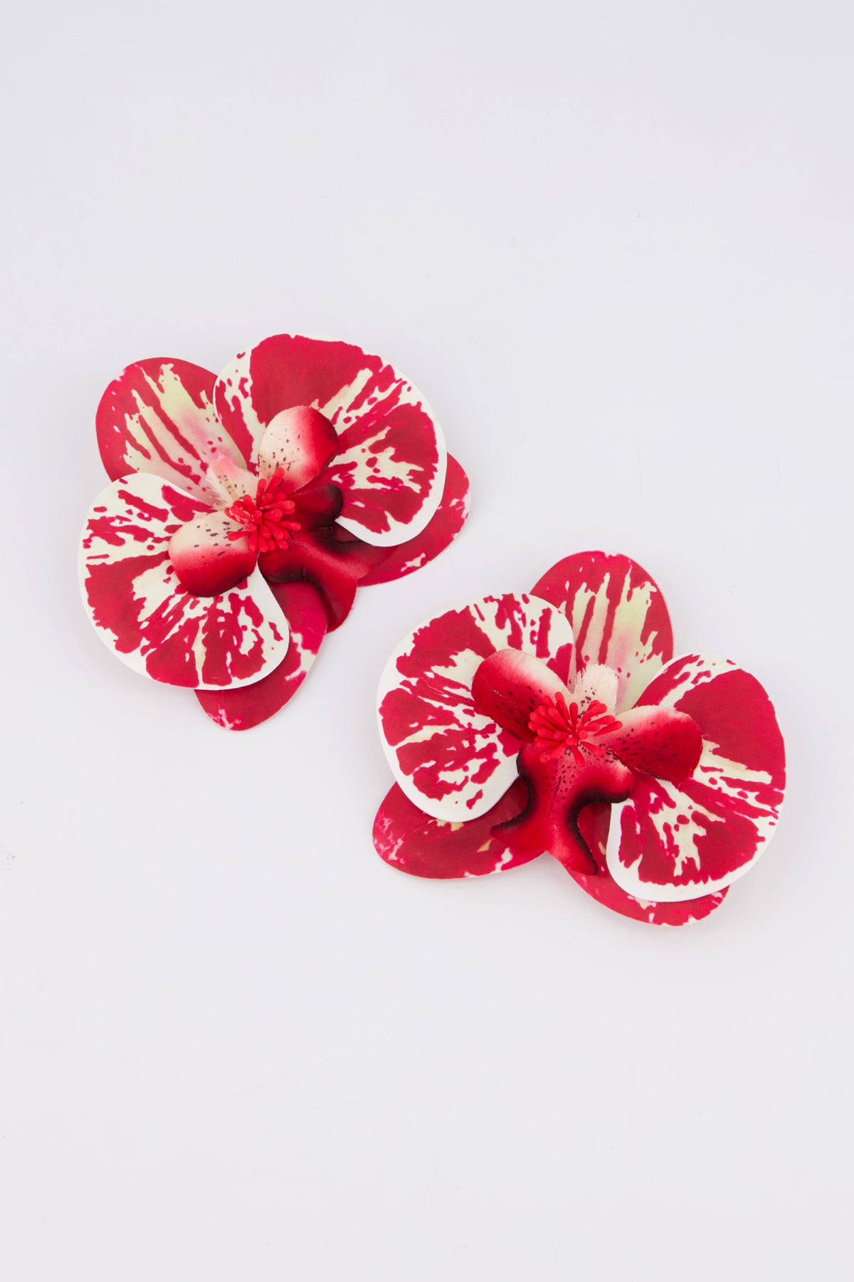 Orchid Trim Tiger