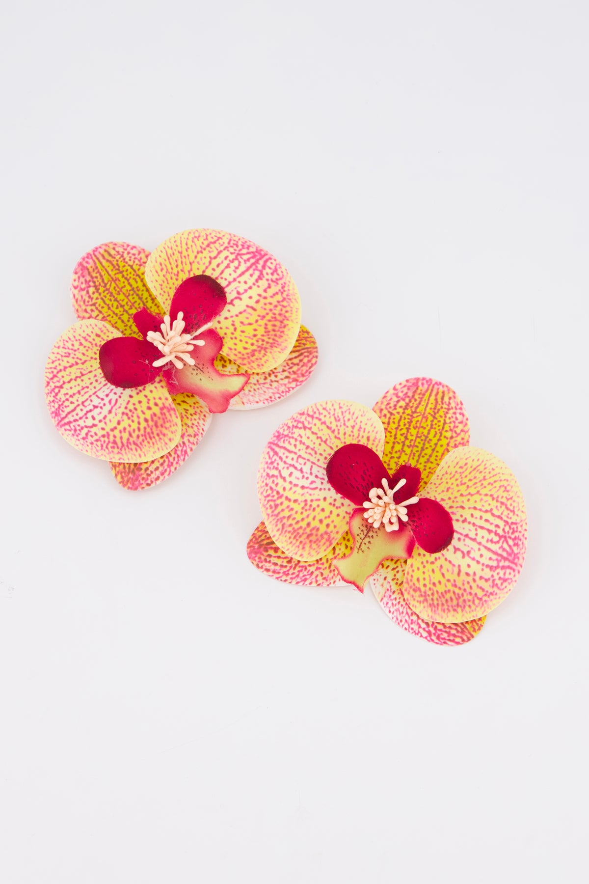 Orchid Trim Yellow Spots