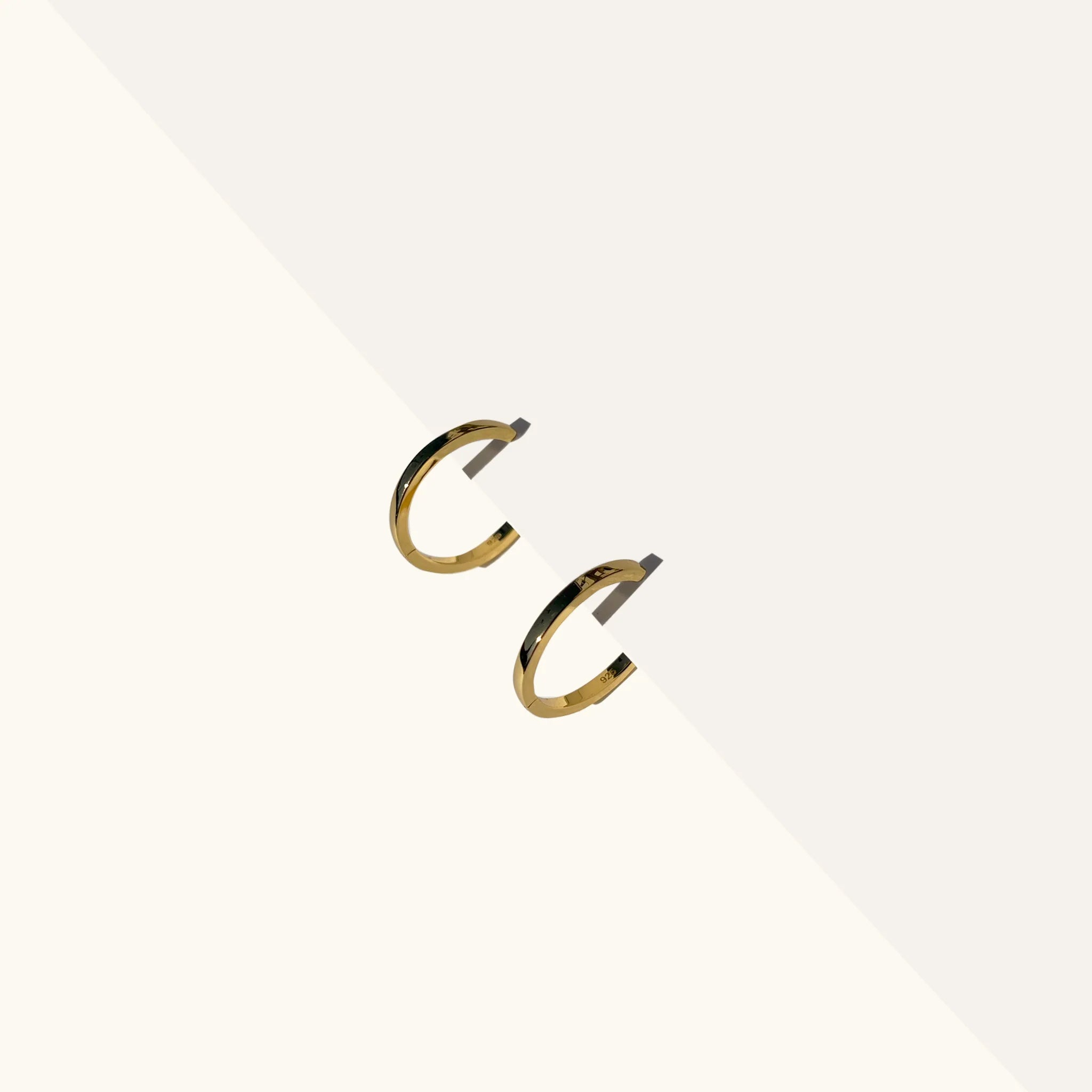 The Everyday Fine Hoop - La Dailie