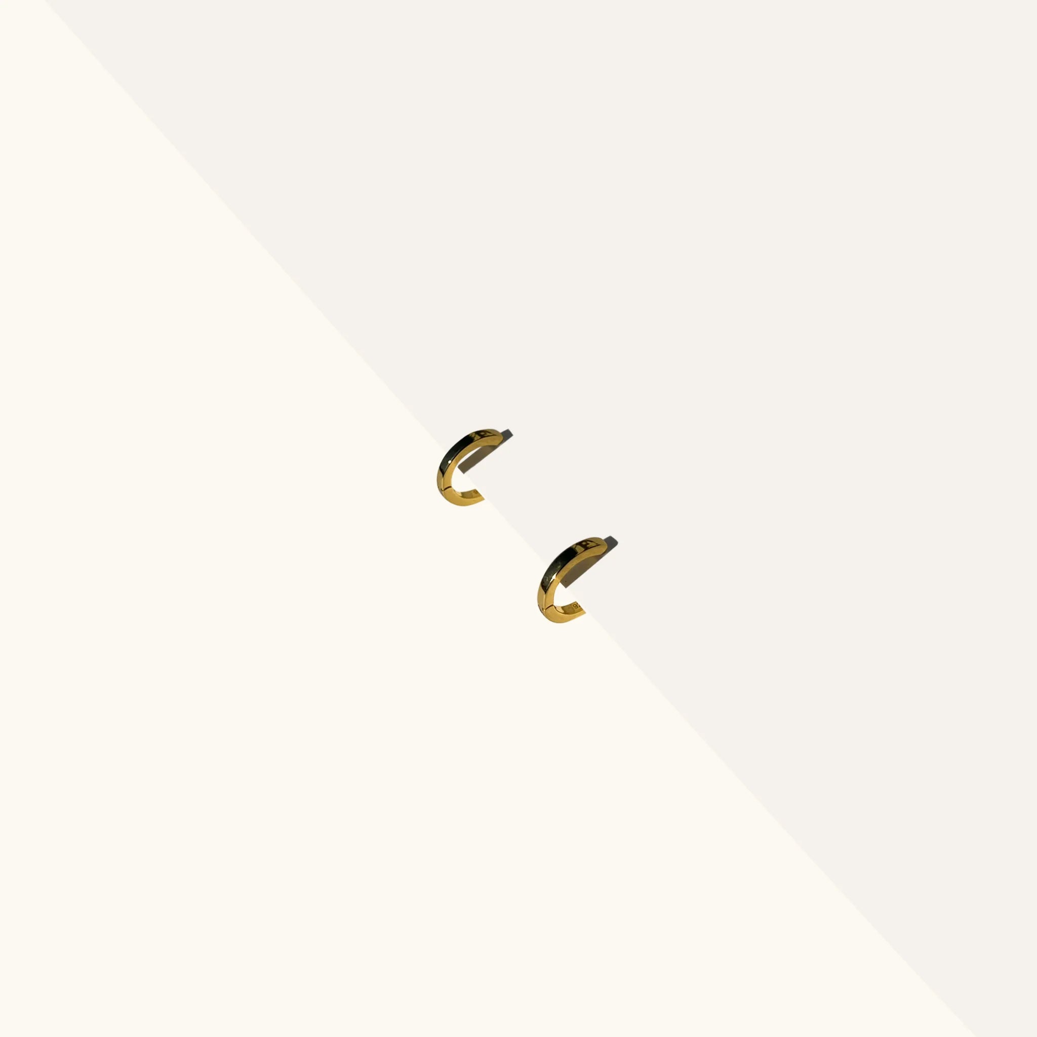 The Everyday Fine Mini Hoop - La Dailie