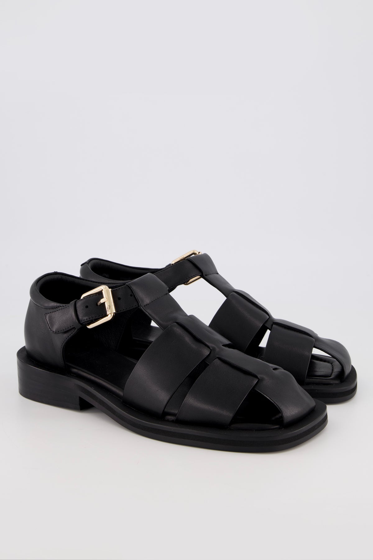 Cam Black | PRE-ORDER