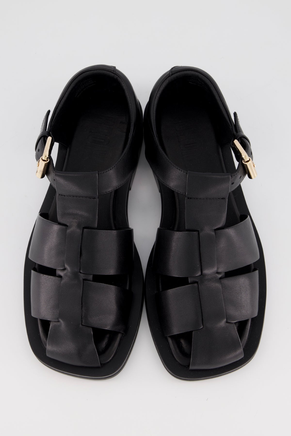 Cam Black