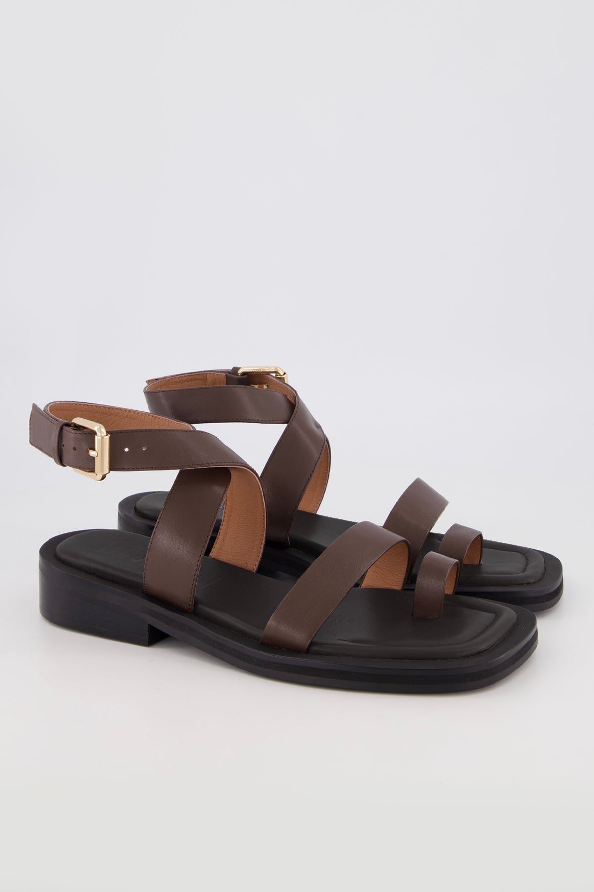 Carmen Chocolate | PRE-ORDER