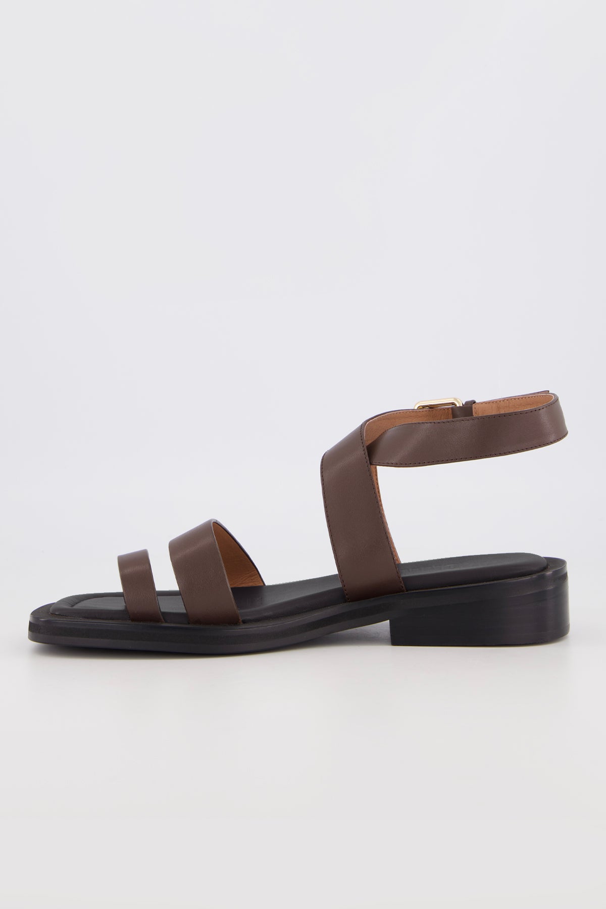 Carmen Chocolate