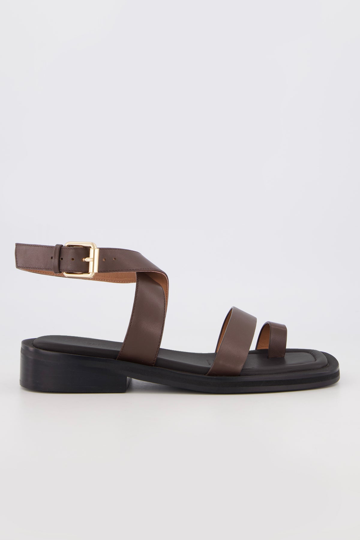 Carmen Chocolate | PRE-ORDER