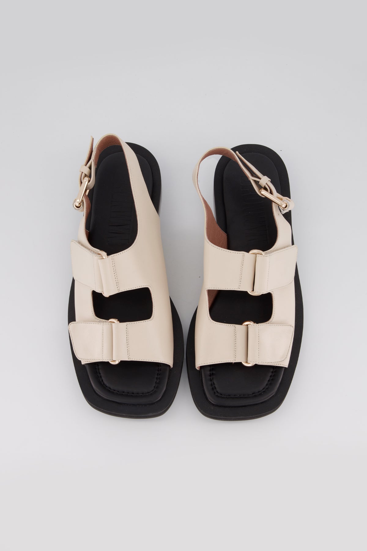 Cas Shell | PRE-ORDER